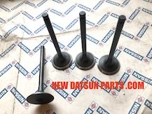 DATSUN PICKUP TRUCK INTAKE VALVES 